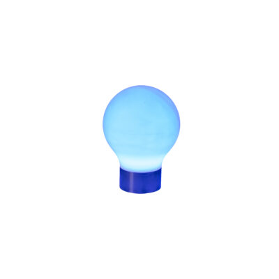 LED Light Bulb Small