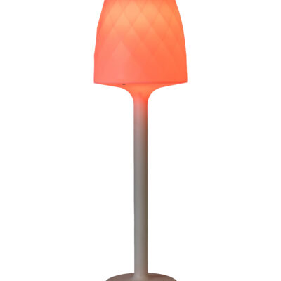 LED Floor Lamp