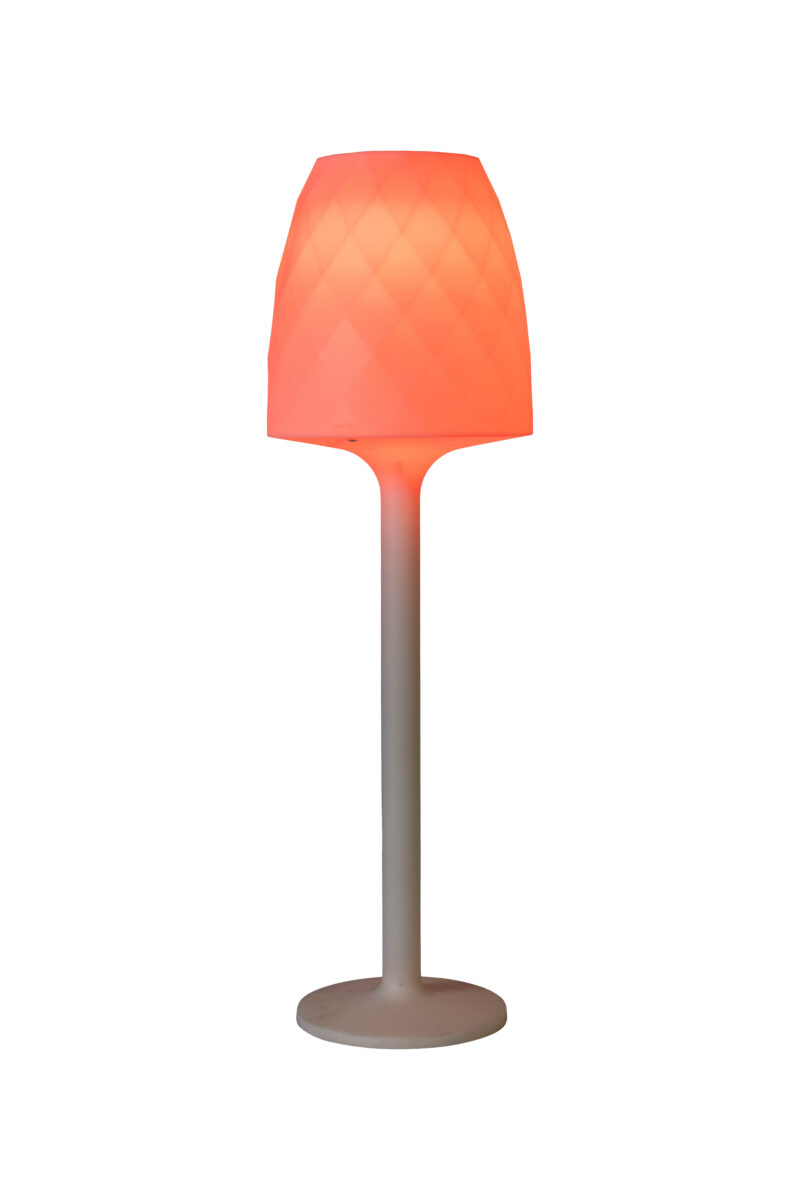 LED Floor Lamp